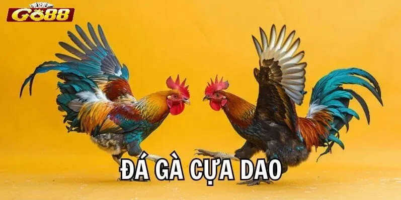 Đá Gà Cựa Dao Go88 là gì?